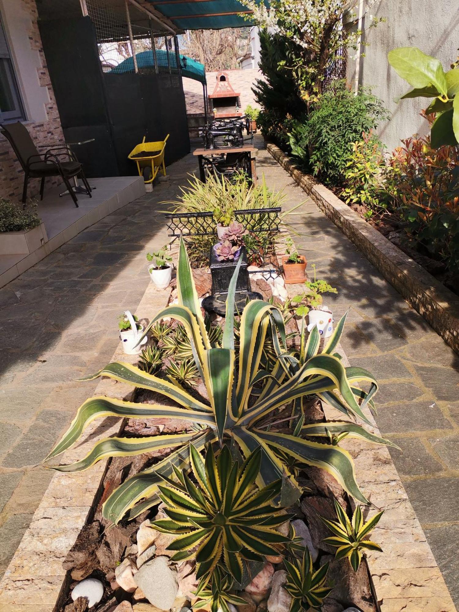 כריסי אמודיה Studios Lia Adults Only -Fully Renovated מראה חיצוני תמונה