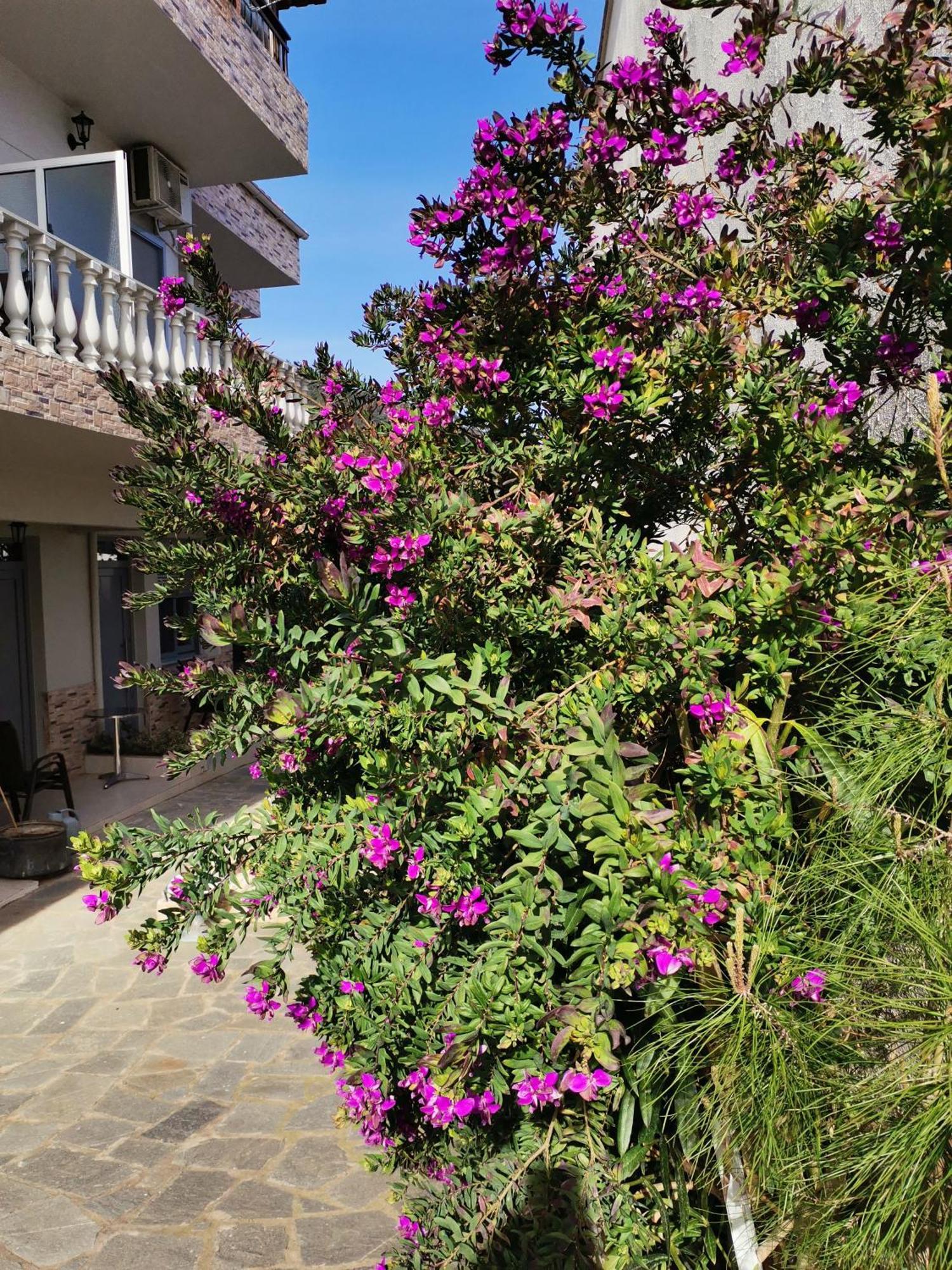 כריסי אמודיה Studios Lia Adults Only -Fully Renovated מראה חיצוני תמונה